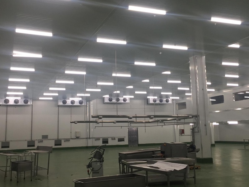 led waterproof lights