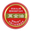 2021 New 10pcs/lot Summer Cooling Oil Refresh Brain Tiger Balm Drive Out Mosquito