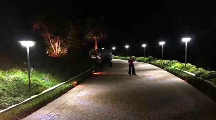 solar lights outdoor garden