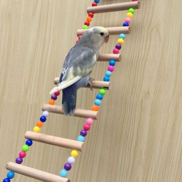 Parrot Toys Ladder Climb Natural Wood Bird Pet Parakeet Hanging Cage Staircase Dropshipping