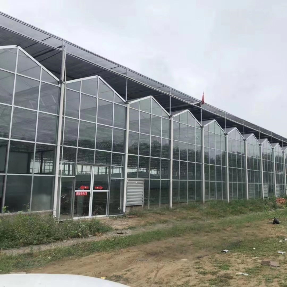 Venlo PC Greenhouse