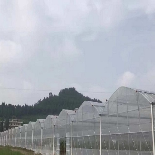 Large Multi-Span Plastic Film Vegetables Greenhouse Manufacturers and Large Multi-Span Plastic Film Vegetables Greenhouse Suppliers