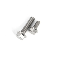 Stainless Steel Flanged Hex Head Bolts