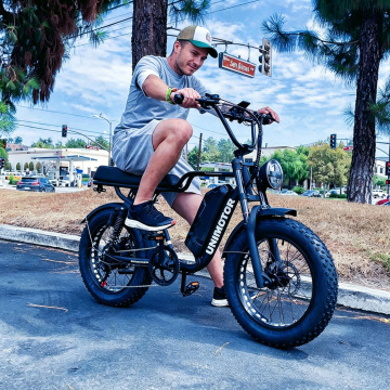 F2 Plus 750W All Terrain E-Bicycle