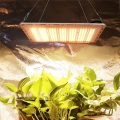 Growing Tomatoes Waterproof Grow Light 120W IP67