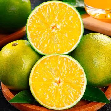 Premium Fresh Rock Sugar Oranges from Yunnan