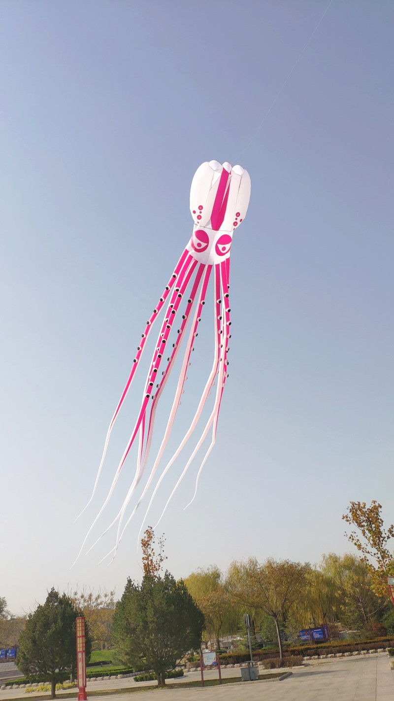 free shipping high quality 20m octopus kite pendant large soft kite ripstop nylon fabric kite line ma laosi walk in sky
