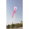 free shipping high quality 20m octopus kite pendant large soft kite ripstop nylon fabric kite line ma laosi walk in sky