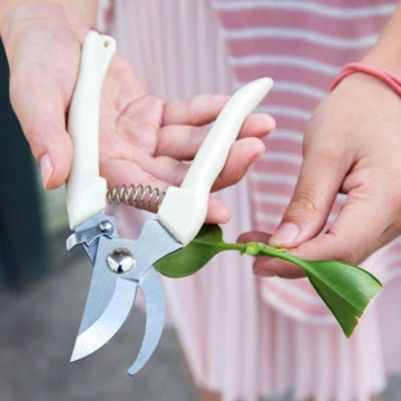 Anti-Slip Gardening Scissor Grafting Pruning Shear Hand Tools Stainless Steel Fruit Tree Cutting Tools Bonsai Pruners Secateurs