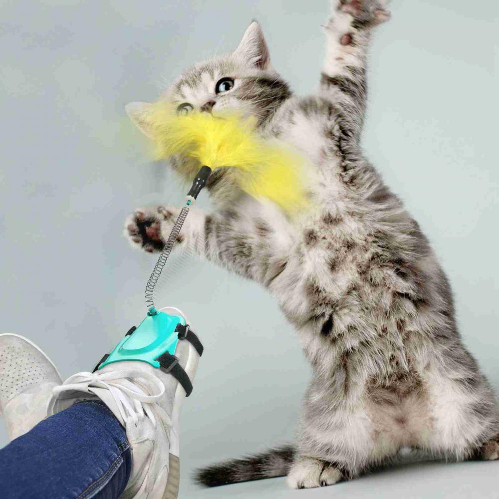 Cat Toy Interactive
