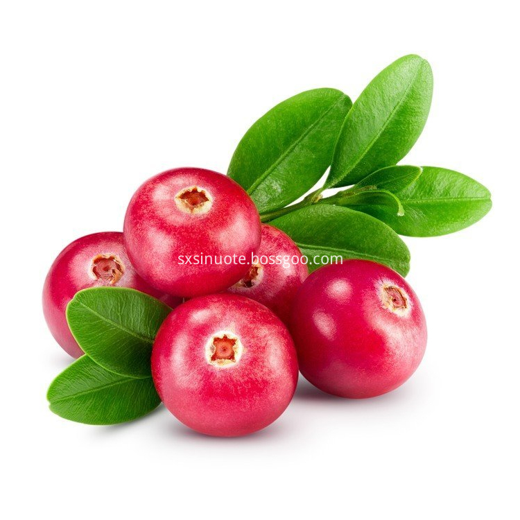 Cranberry Extract