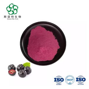 water soluble Wild Cherry Powder Aronia Berry Extract