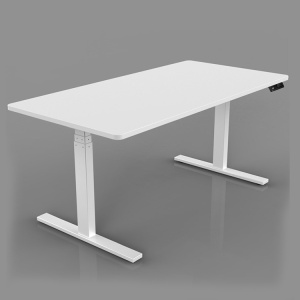 Adjustable Sit Standing Desk