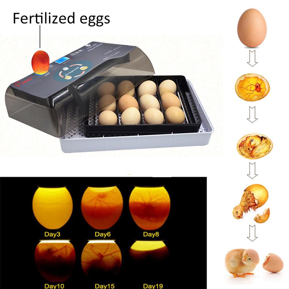 Egg Incubator 9-35 Eggs Digital Fully Automatic Incubator Poultry Hatcher Machine LED DisplayFor Chickens Ducks Goose Birds New