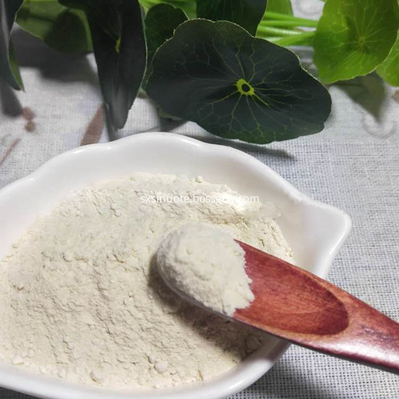 Pineapple Enzyme Bromelain