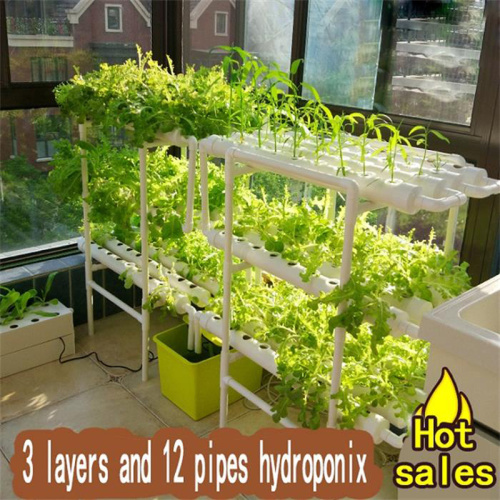 12 Pipes Hydroponics PVC NFT Growing System Manufacturers and 12 Pipes Hydroponics PVC NFT Growing System Suppliers