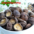 Natural Wild Mushrooms Edible Mushrooms Lower Cholesterol Dry Mushrooms Wild Healthy Food, Dried Mushrooms, Free Shipping
