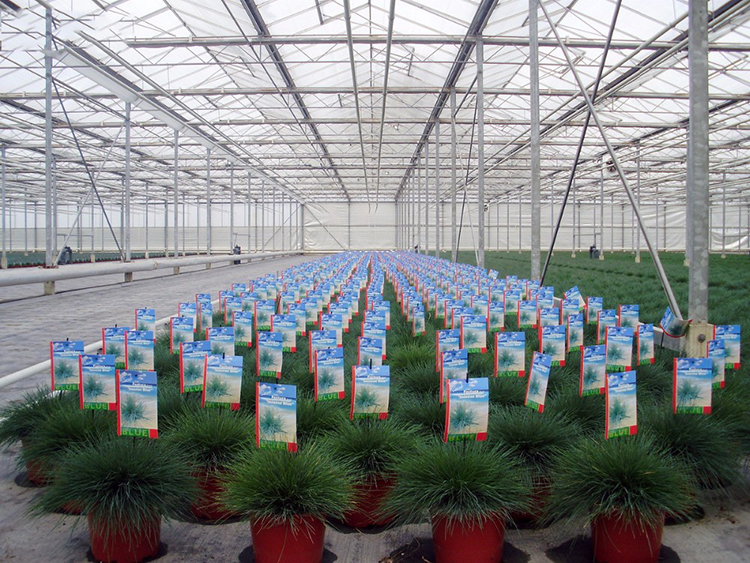 Commercial Greenhouse