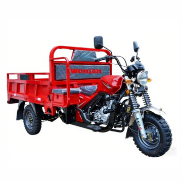 Cargo Tricycles WJ175ZH 150-175cc