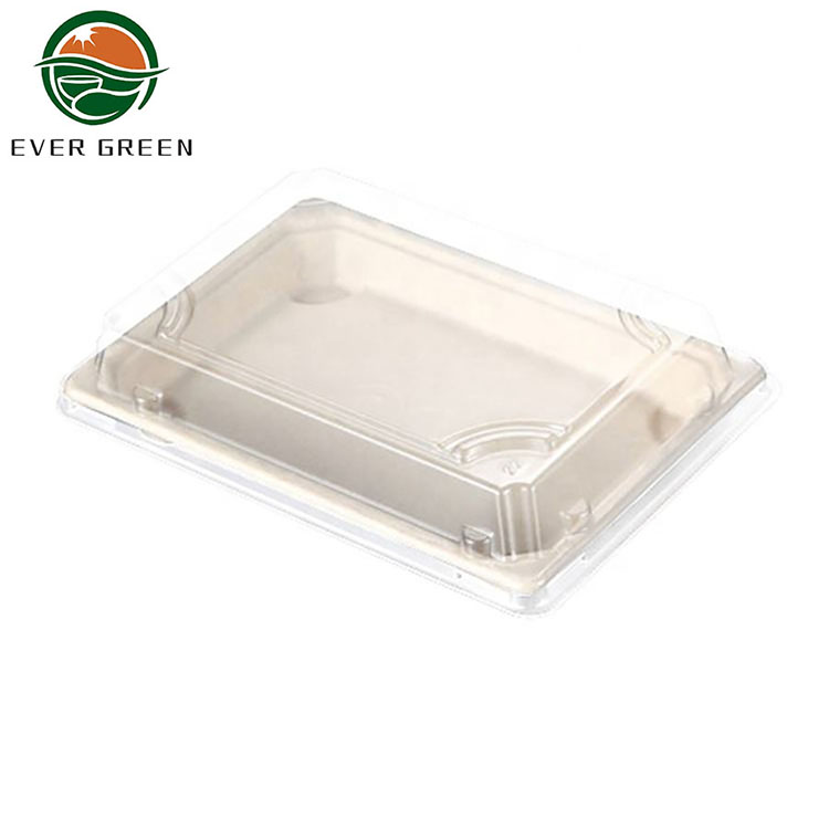  eco friendly bento box