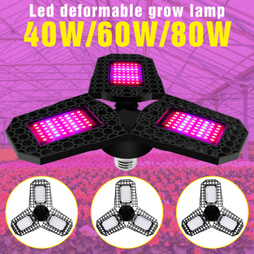 LED Full Spectrum Plant Seedling Growing Lamp E27 Hydroponic Phyto Light Greenhouse Flower Seed 220V Grow LED Lamp 40W 60W 80W