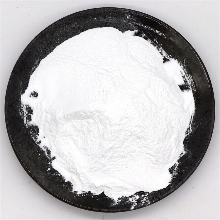 s adenosyl l methionine