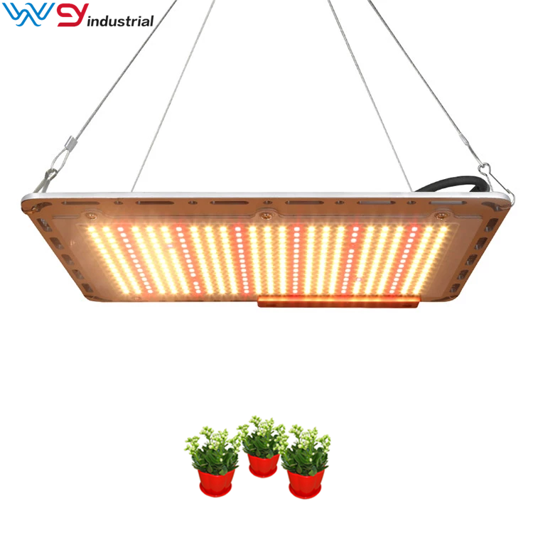 Samsung quantum board led horticulture grow lights