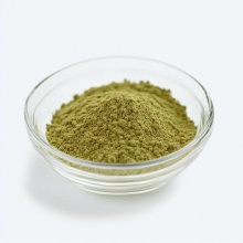 High Quality Ginseng Root Extract