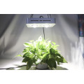 LED Grow lights Walmart 300w