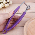 Hot Sale Cherry Olive Pits Pitter Stone Seed Remover Core Machine Container Kitchen Tool