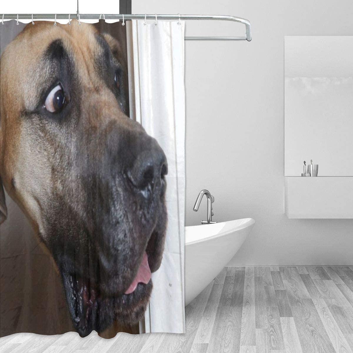 Animal Great Dane Dogs Funny Shower Curtain Astonished Labrador Staring At Your Naked Body Bathroom Curtain Decor With 12 Hooks