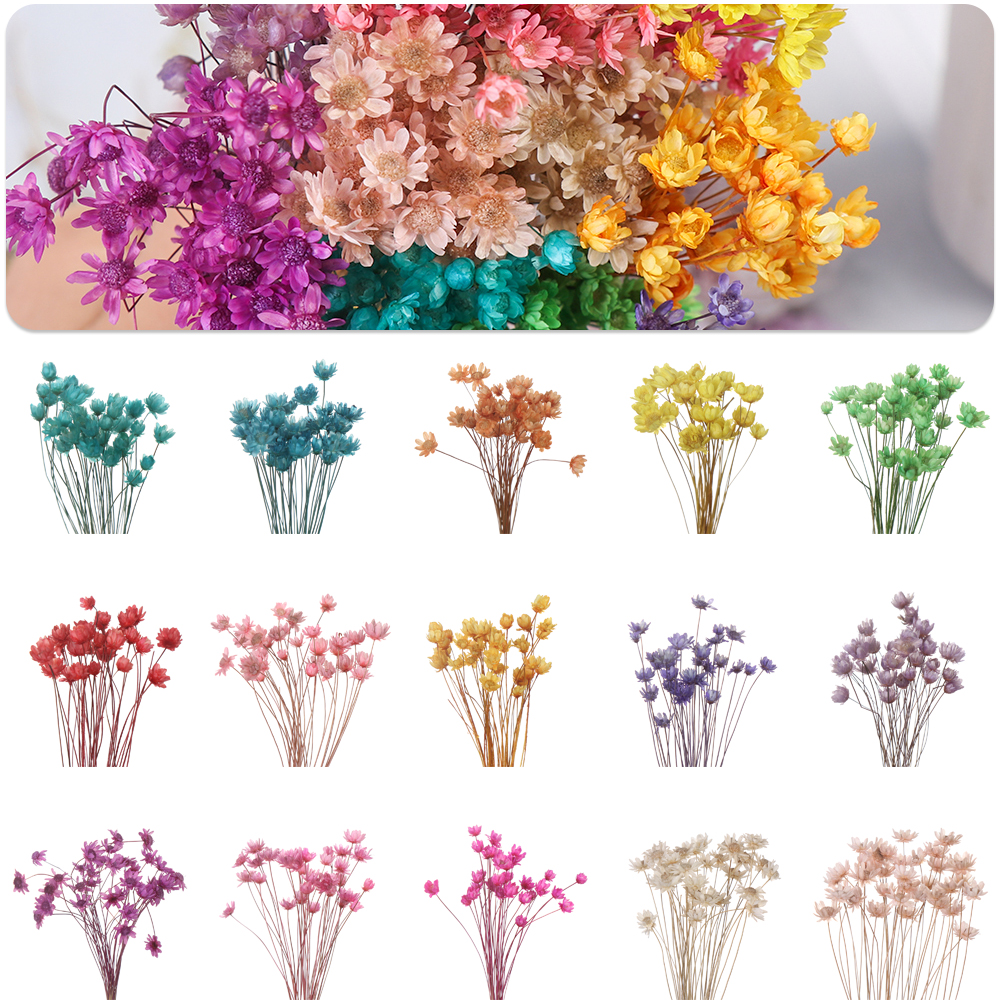 1 Bunch Decorative Dried Flowers Mini Daisy Small Star Flowers Bouquet Natural Plants Preserve Floral For Wedding Home Decor