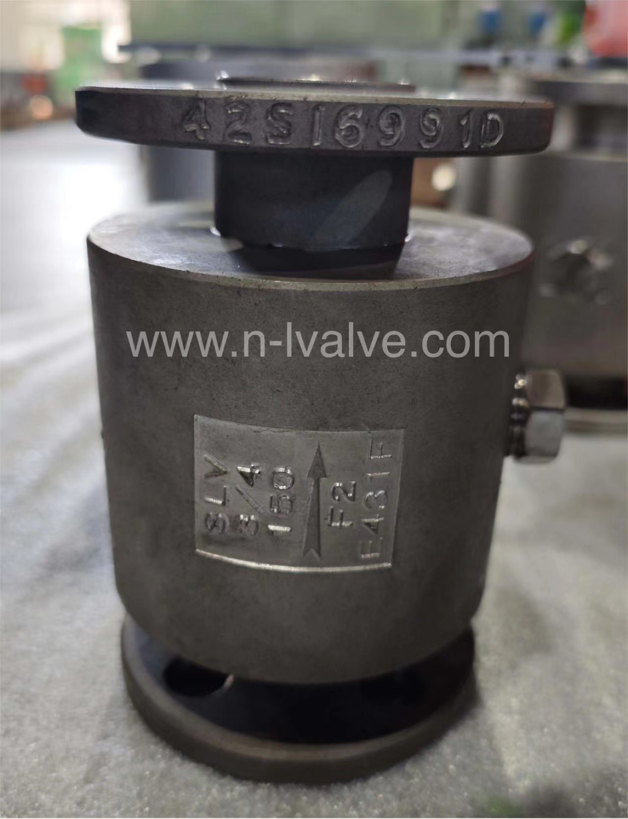 Inline Strainer3