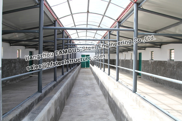 Hot Sale Steel Structural Poultry Shed