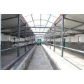 Hot Sale Steel Structural Poultry Shed