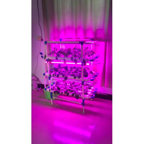 Indoor Hydroponic Vertical System With Led Growing Lights Manufacturers and Indoor Hydroponic Vertical System With Led Growing Lights Suppliers