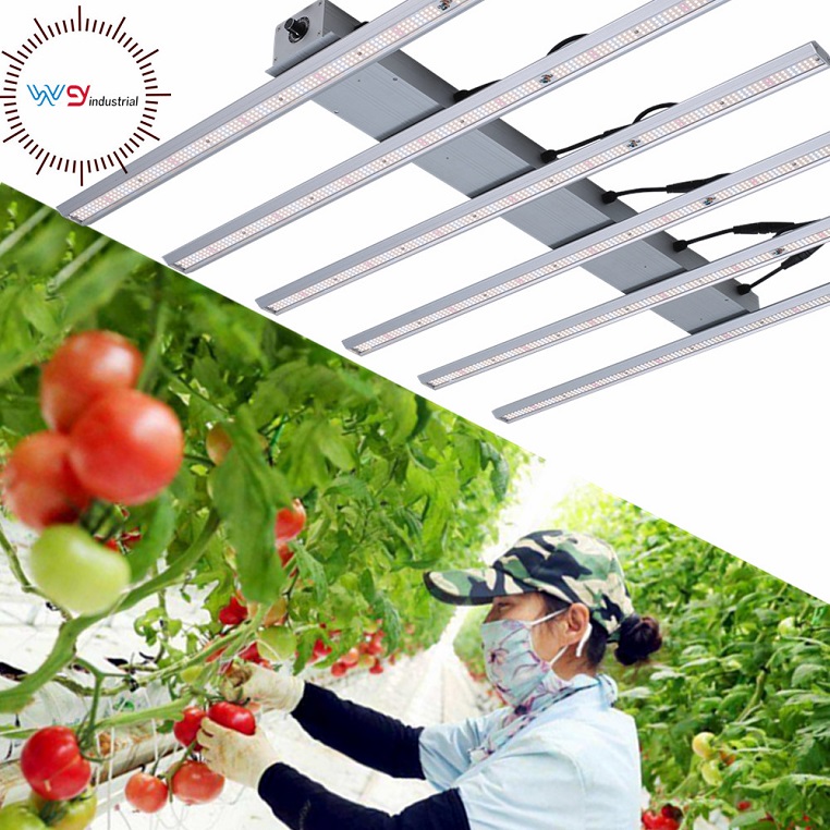 480W Grow Light Bars For Tomatoes Growing