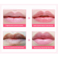 1Pc Cherry Blossoms Color Change Lip Balm Long-lasting Moisturizing lips Repair lighten lip lines Makeup Lipstick TSLM1