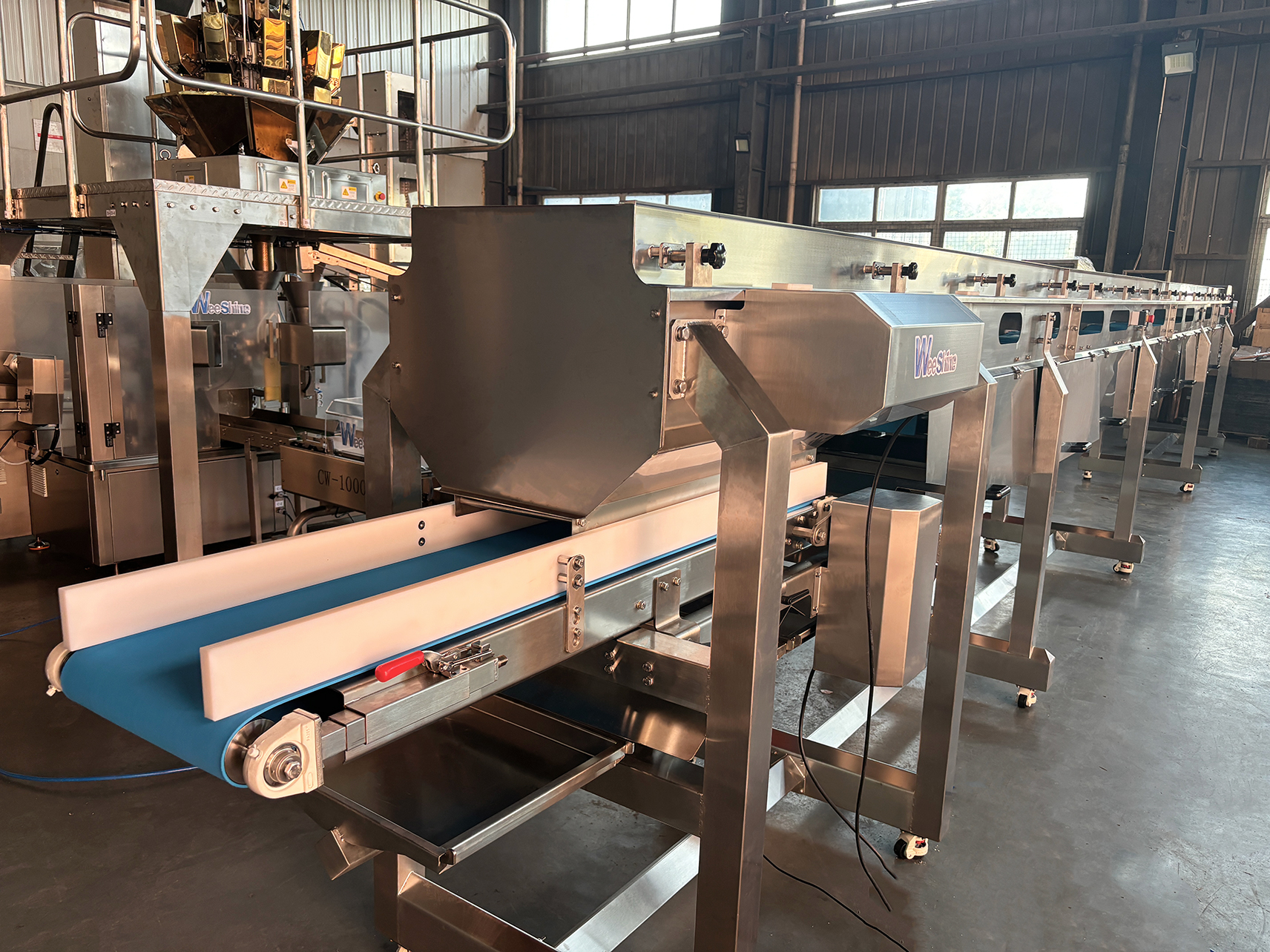 nuts conveyor