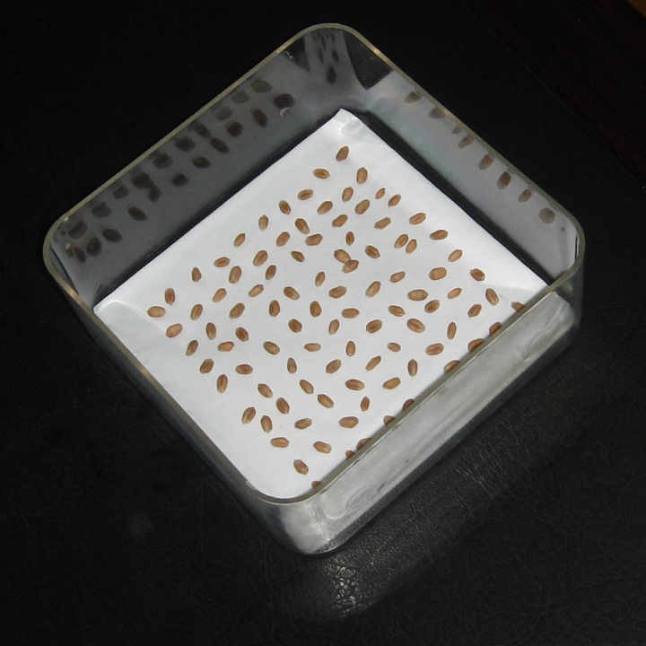 box2