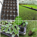 High Quality Cells Seed Growing Trays Fodder