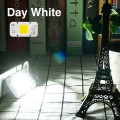 Day White