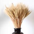 100pcs Wheat Autumn Decoration Pampas Grass Craft Flowers Dried Flowers for Wedding Decoration Wheat