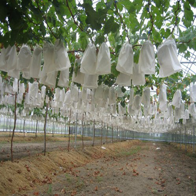 50pcs Grape Protection Bags For Fruit Vegetable Grapes Mesh Bag Against Insect Pouch Agricultural Pest Control Anti-Bird Bags