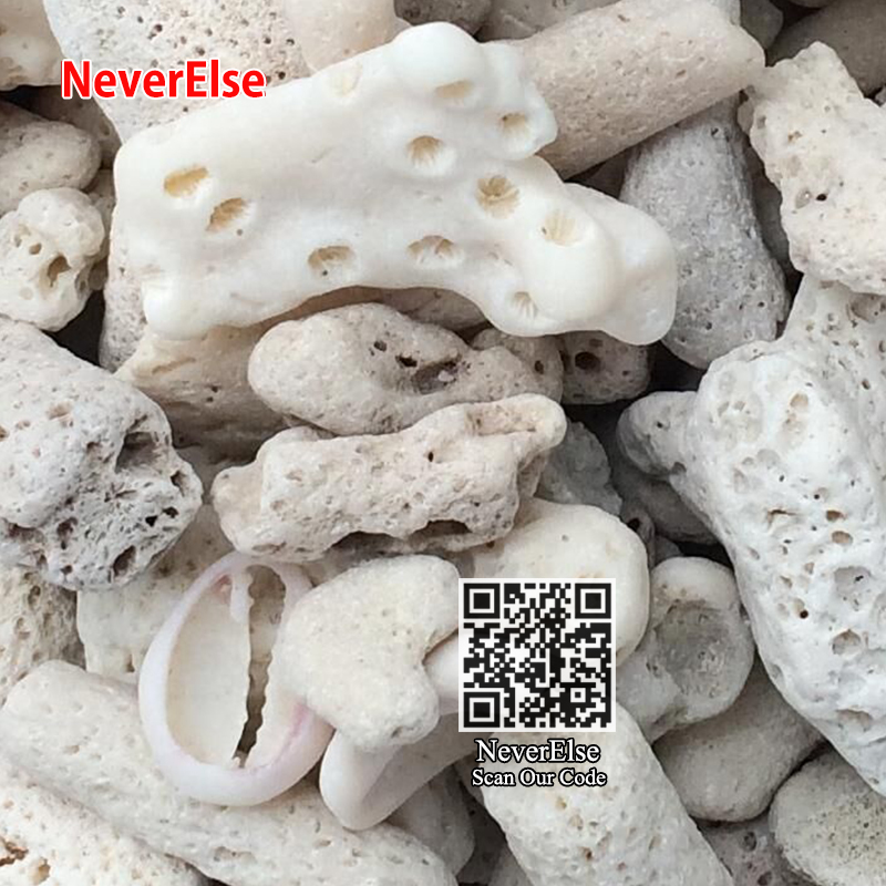 500Gram Filter Media Coral Shell Bone Stone Aquarium Replace Filtration Materials Fish Tank Clean Water Filter Pump Accessories