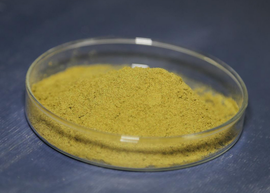 Mangiferin powder (1)