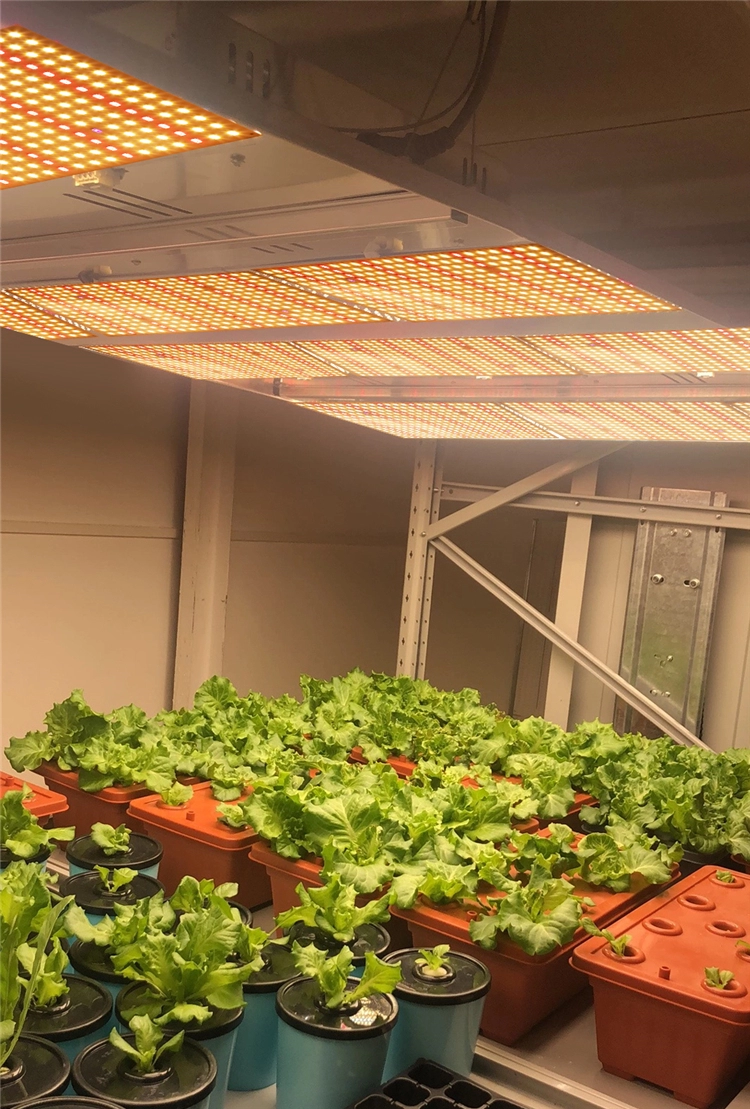 Quantum LED Grow Light Board Full Spectrum