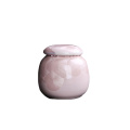 Pet Memorial Urn For Dogs Cats Birds Cremation Ashes Small Animals Mouse Rabbits Fish Funeral Casket Small Part Human Ashes