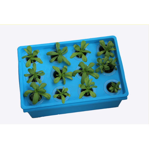 Home Hydroponic System For Growing Strawberry Manufacturers and Home Hydroponic System For Growing Strawberry Suppliers