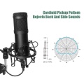 Usb Streaming Podcast Pc Microphone Professional Studio Cardioid Condenser Mic Kit with Sound Card Boom Arm Shock Mount Filter,